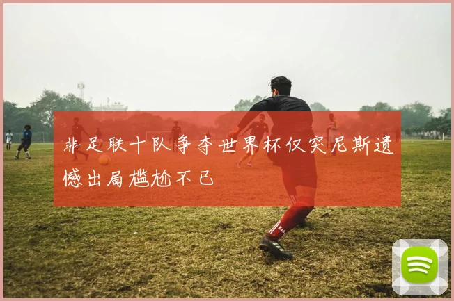 非足联十队争夺世界杯仅突尼斯遗憾出局尴尬不已