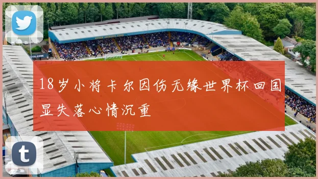 18岁小将卡尔因伤无缘世界杯回国显失落心情沉重