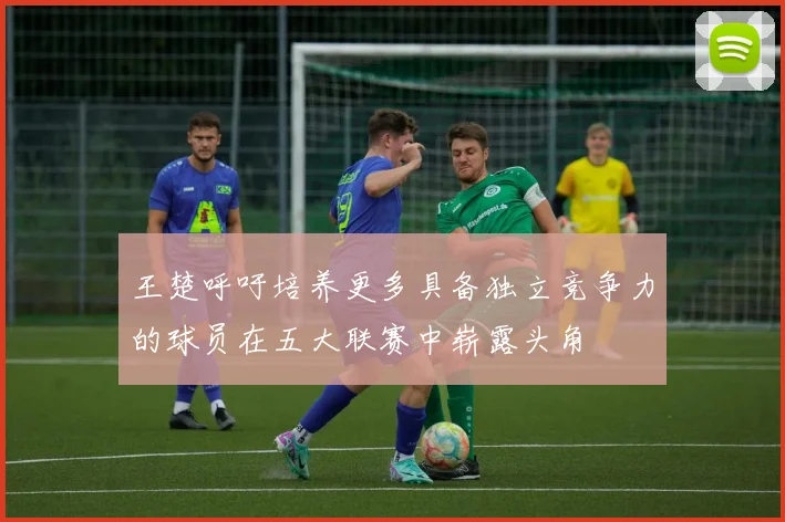 王楚呼吁培养更多具备独立竞争力的球员在五大联赛中崭露头角
