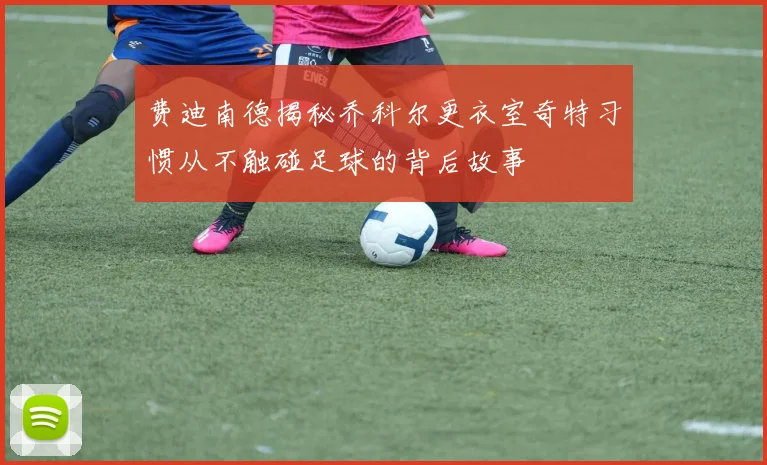 费迪南德揭秘乔科尔更衣室奇特习惯从不触碰足球的背后故事